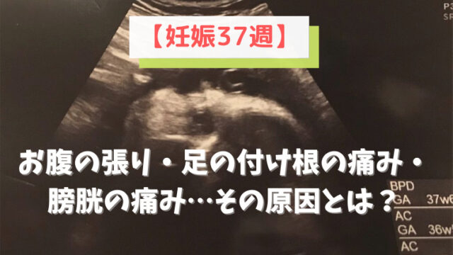 臨月 妊娠36週に突入 前駆陣痛 足の付け根の痛みに悩まされる日々 ママもよう 4児ママsakiのブログ